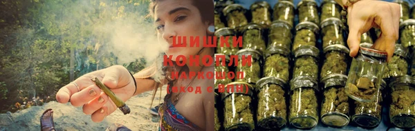 СК Абинск
